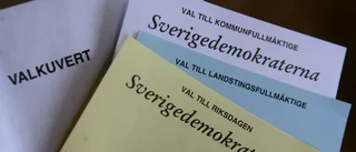 SD-politiker hyllade Putin