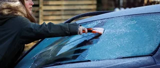 Den första frosten: Så kallt var det i natt
