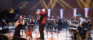 Ale Möller gör oss alla lyckliga med sin musik