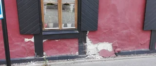 Väjde för katt – körde rakt in i hus