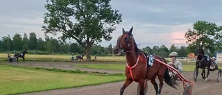 Efter succén: Hereicome diskad i sista sväng