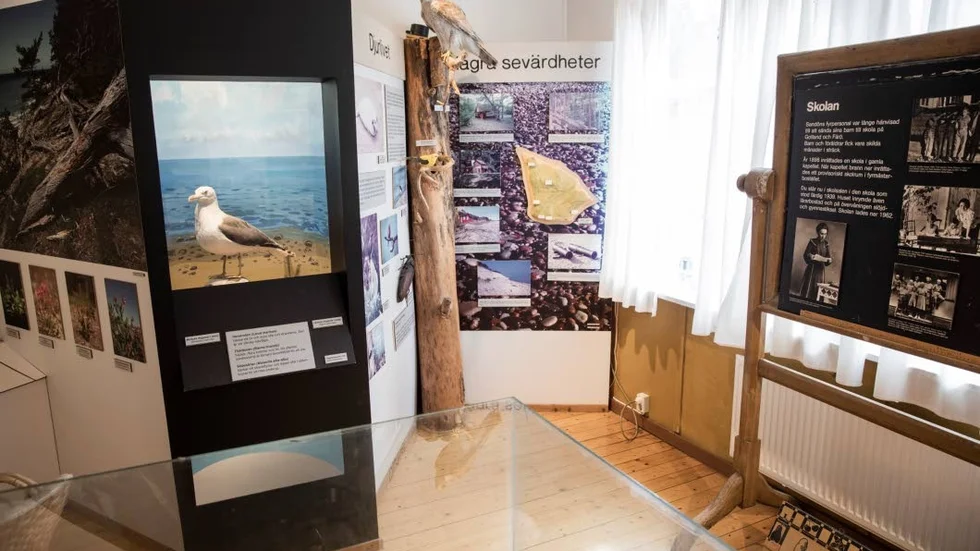 Sofia Hoas vill blanda upp den historiska utställningen med naturutställningen för att kunna berätta om människor i miljön och naturen på ett tydligare sätt.