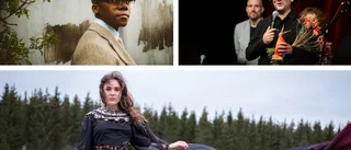 Många spelningar i Linköping på fredagen – här är helgens alla gig