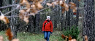 Pengar till markägare med nyckelbiotoper tror vi räcker