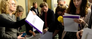 Regering med egen dagordning