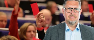 Omröstningen på partikongressen 2021 visar att det finns en i grunden Nato-vänlig hållning inom S
