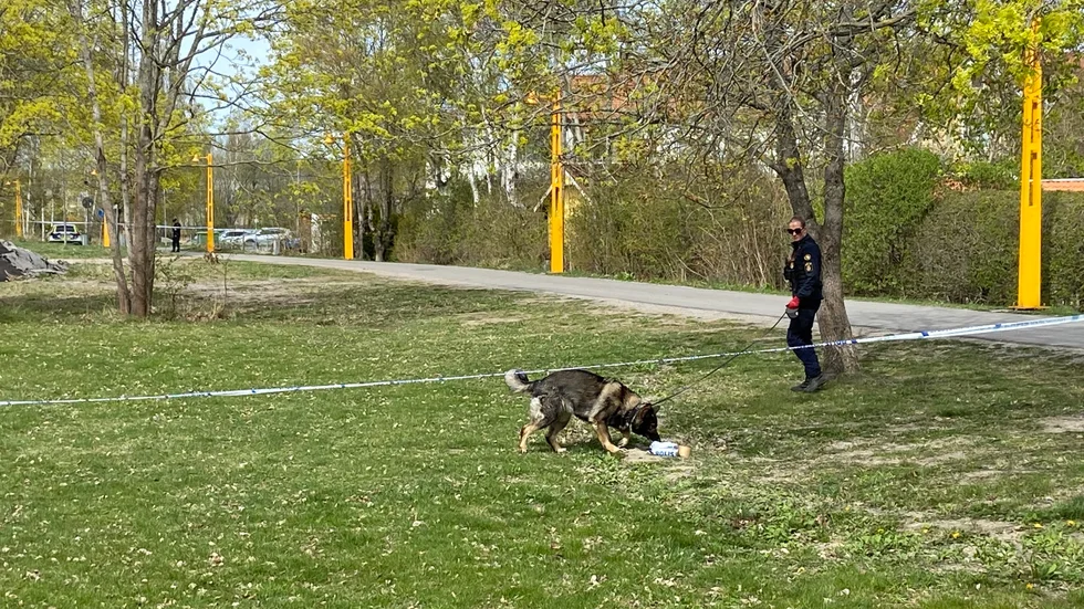Ett område längs gamla banvallen spärrades av och polisen inledde spårning med hund. Flera fynd gjordes efter att hunden markerat.