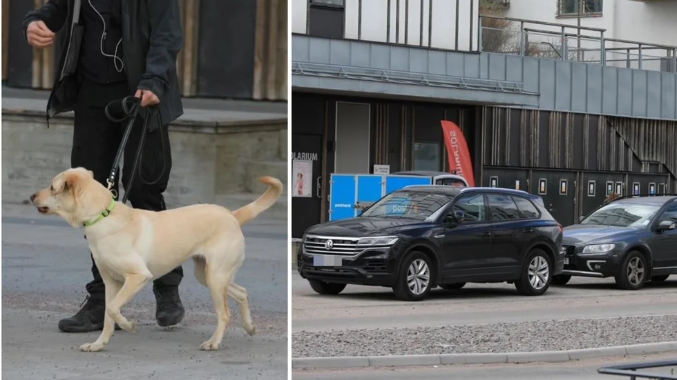 Nio personer blev häktade medan två frisläpptes efter tillslaget i Rosendal.