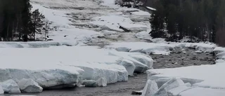 Läsarbilden: Storforsen vild och mäktig!