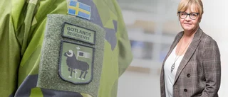 "Satsningen borde vara en garant för såväl en tredje elkabel som en ändamålsenlig färjetrafik"