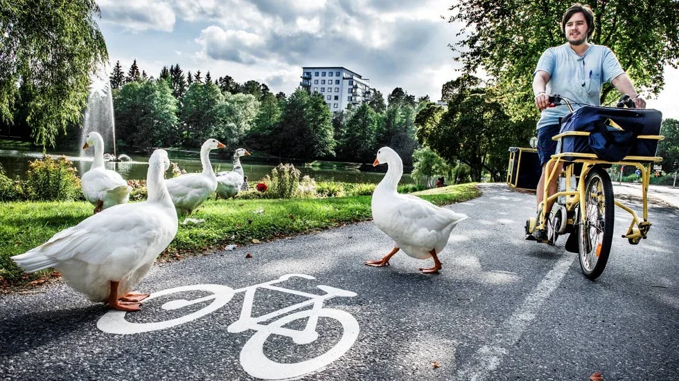 Hinder på cykelbanan. Inte PostNords värsta problem.