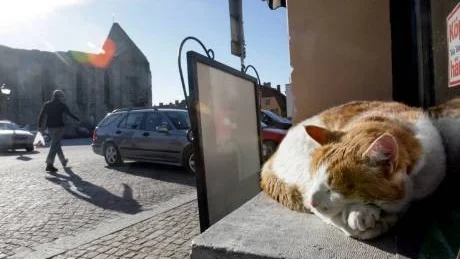 Stora Torget i Visby. Insändarskribenten anser att man bör förlänga S:t Hansstråket så att det blir naturligt att vidare norrut från Yllet mot Linser och Bågar och mot Stora Torget. foto: Tommy Söderlund/gt arkiv