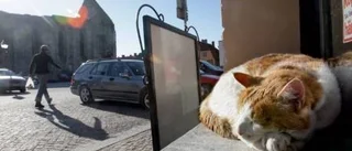 Vi vill ha en levande innerstad