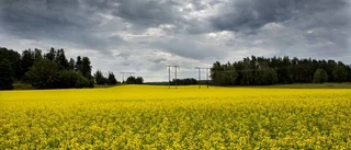SMHI om helgvädret: "Ostadigt"