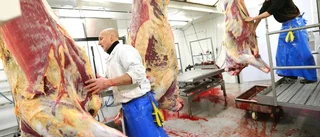 Förbudet mot slakteriet upphävt
