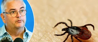 Manar till lugn efter fästinglarm • Nystedt: "Skulle hellre satsa på stövlar" • Så kan du tänka kring vaccination