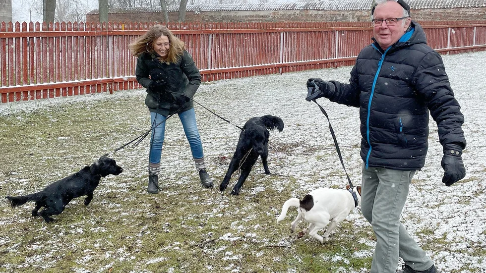 Helena Borgenback och Sam Uhlin låter hundarna leka en stund.