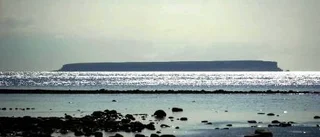Ingen båttrafik till Lilla Karlsö i sommar