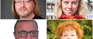 Den privata tågtrafiken har helt spårat ur