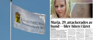 Efter hundattacken i Torshälla – så ska du agera om en hund är aggressiv: "Man bör inte avvakta för att se ifall det händer igen"