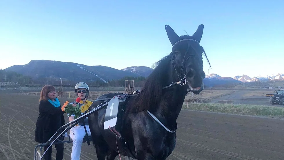 Guli Orkan vann direkt i första starten för Gabriella Laestander.