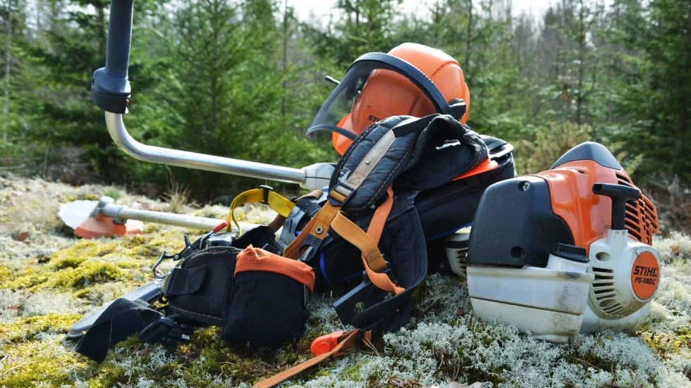 Röjning. 20 SFI-elever och ungdomar har fått god kunskap om skogen.