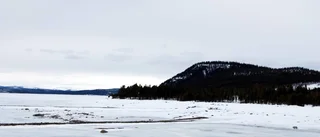 Kallak: Retur till Bergsstaten