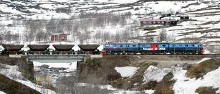 Renägarna maktlösa: Allt fler renar tågdödas