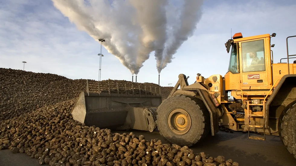 Planen är att skeppa 300|000 ton skånska sockerbetor via hamnen i Trelleborg till Nordic Sugars fabrik i Nakskov i Danmark. Arkivbild.