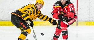 Är Bulan den som Luleå behöver?