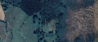 Nya ägare till﻿﻿ gård i Motala Landsbygd - pris: 3 950 000 kronor