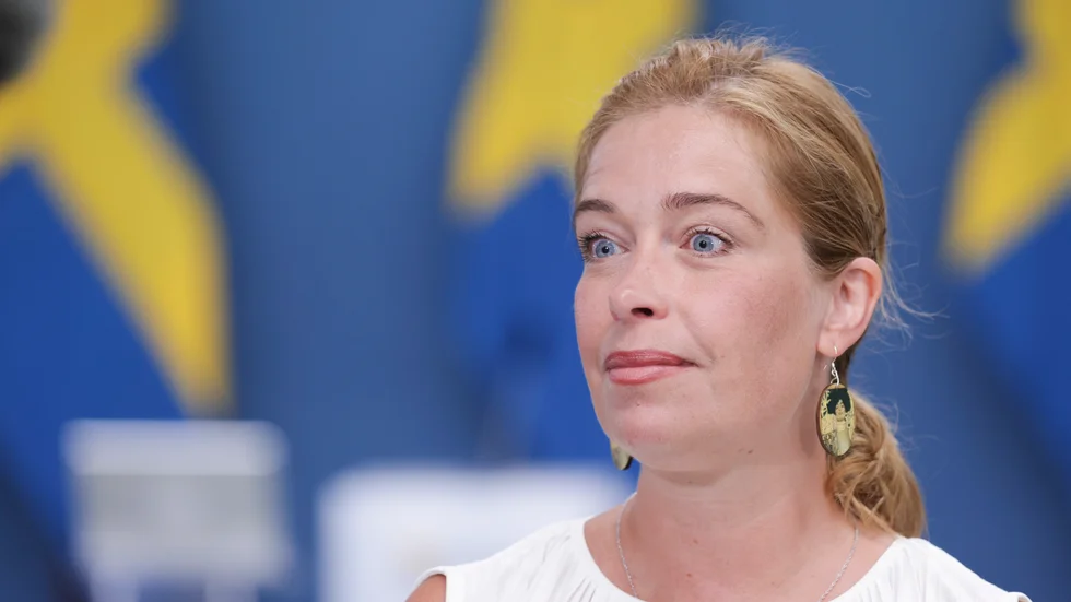 Annika Strandhäll (S) argumenterar anstötligt.