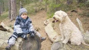 Kompisar. Gunnar och hans hund Sally är bästa kompisar.
