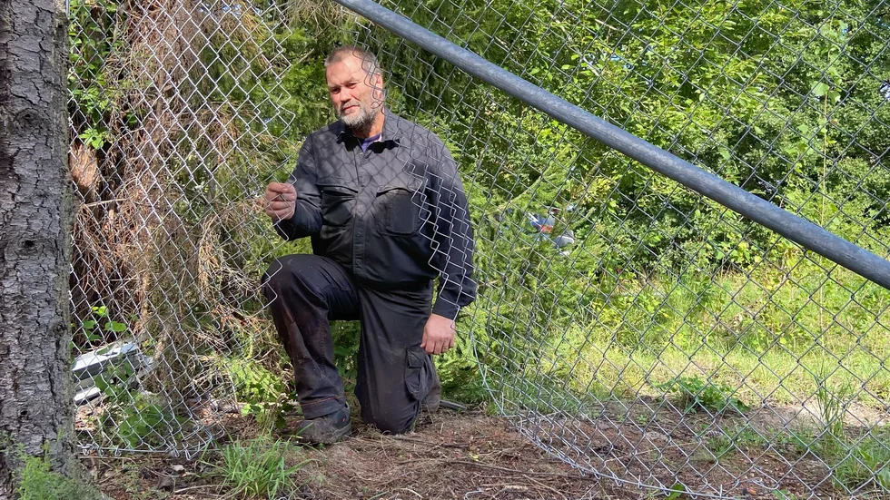Peter Klaar tror att tjuvarna först klippte upp det här hålet i staketet, för att inte dra uppmärksamhet till sig när de arbetade med att få ner hjullastaren från ett flak inne på området.
