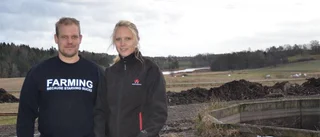Unga lantbrukare ska föda upp tjurkalvar