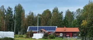 "Låt Gotland fortsätta växa med solen"