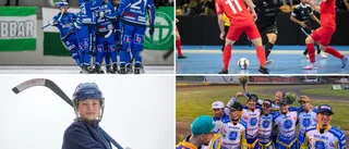 QUIZ: Vad vet du om lokala idrotten just nu? Få 13 rätt