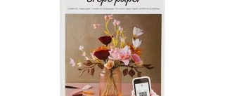 DIY startkit Kräppapper 