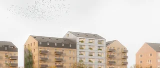 Här ska lägenheter byggas i lera  – Uppsala blir först i Sverige