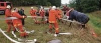 Värdefull galopphäst
 räddades ur lerigt dike