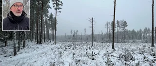 Här finns planer på ett nytt industriområde