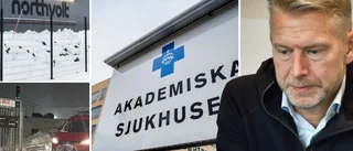 Northvolts vd efter dubbla dödsolyckorna: ”En svart dag”