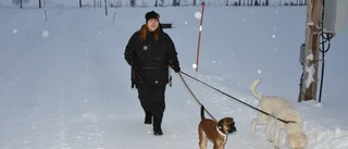 Så ser bokningsläget ut på hundpensionaten inför julhelgen