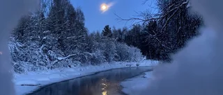 Dagens läsarbild: Månsken över Alterälven