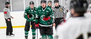 Spelschemat är spikat – så kvalar Rosvik till ettan