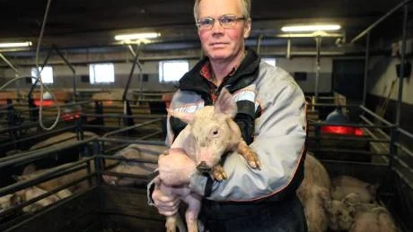 Tänker fortsätta. Berndt Pettersson har inga planer på att ändra på verksamheten hemma vid Bottängen, trots att 2010 varit ett riktigt dåligt år för grisproducenterna. Och 2011 ser ut att bli likadant.Foto: Rolf Jönsson