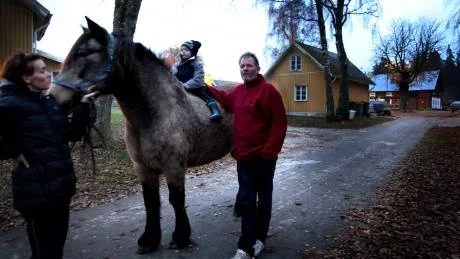 På väg. Kathe Johansson och Anders Danielsson, här med sonen Kewin, är på väg att sälja Stall Dalhem som Kathes föräldrar Stefan och Anja Johansson köpte för 13 år sedan. Hela familjen flyttar till Småland, där Kathe och Anders redan hittat en hästgård.Foto: Henrik Radhe