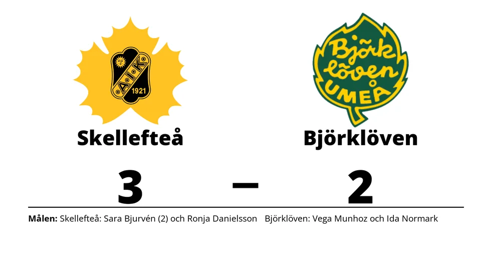 Skellefteå AIK vann mot IF Björklöven