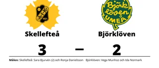Skellefteå vann seriefinalen mot Björklöven