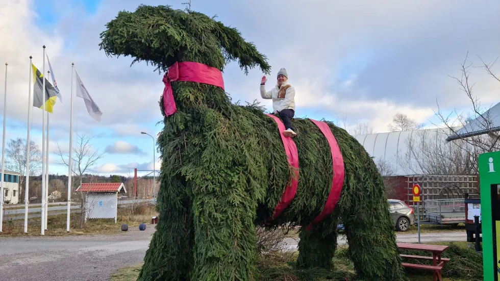 Årets julbock i Virserum är 4,8 meter hög. Virserumsbon Elin Kling passade på att provsitta bocken när den kläddes i helgen.